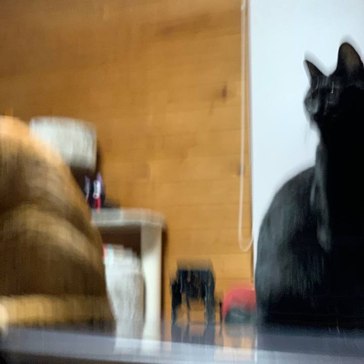 Fb8fffbe 1ab9 4325 a615 be30ad95ded9 1666778646081