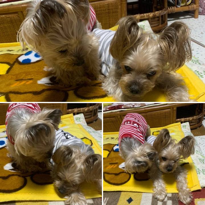 Fb90062a c094 4220 9565 f1d9f2431529 1675589007862