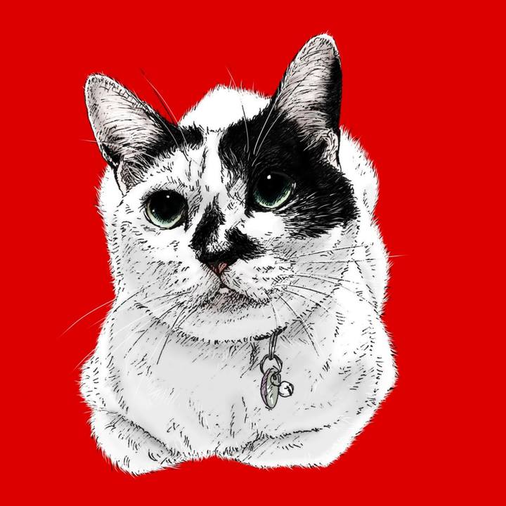 Fb9020b1 28c7 4984 b7d8 3a221e8c4f75 1575125058344