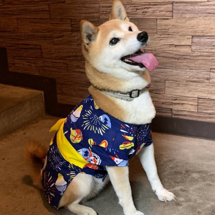 Fb9036ea f1cc 4eae a0cc b5df35991fca 1595682320294