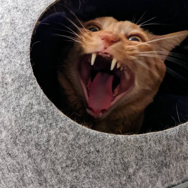 Fb9072e0 94b6 4f4e 8a37 33af379529ae 1638790217314