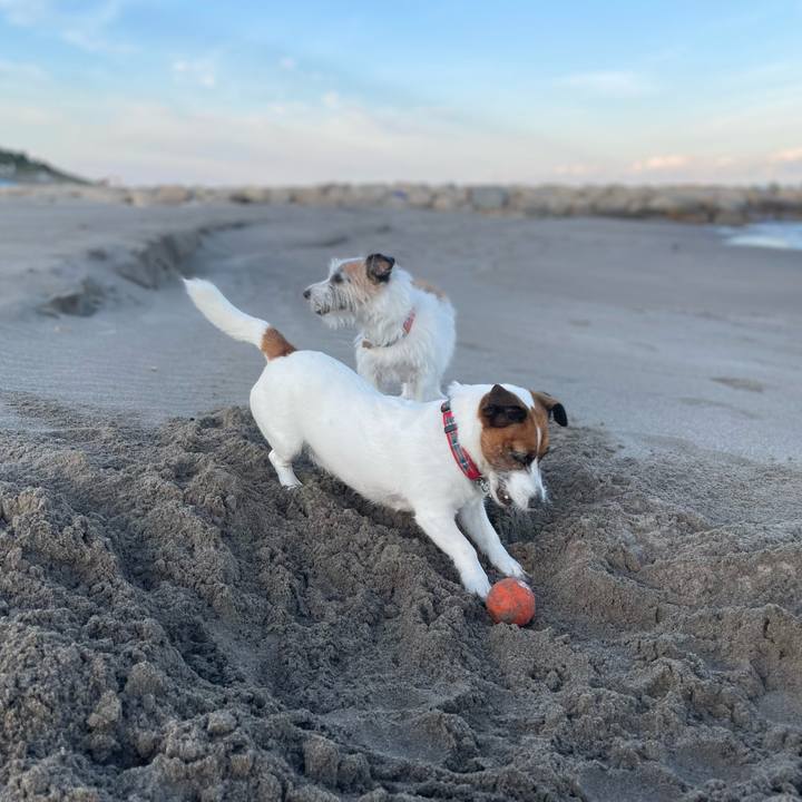 Fb90a381 2ea8 4617 a58a 693ec3aef01c 1761347609087