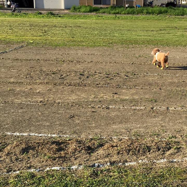 Fb90ab46 7285 4e63 9463 f278fed6eaf5 1526553492182