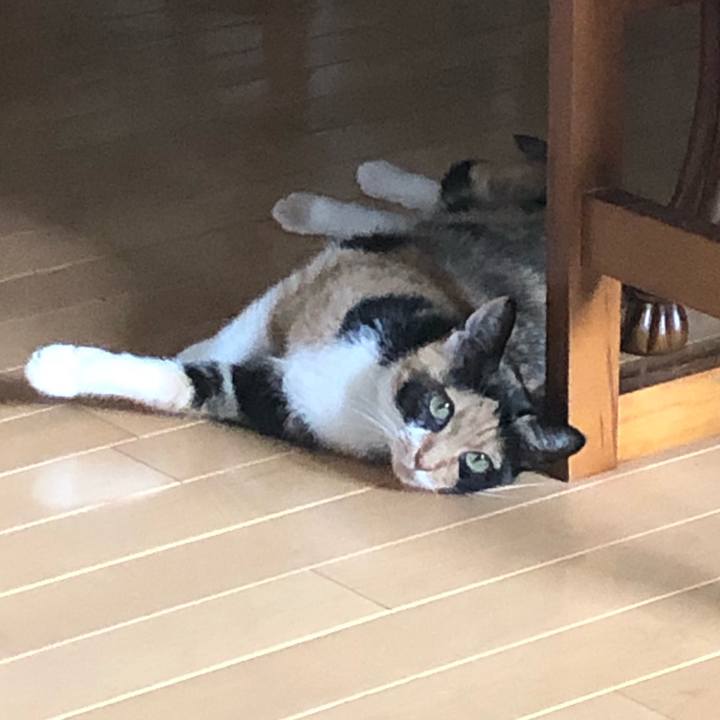 Fb90b49d 9605 4054 8aca 1affe438ec0c 1596529071744