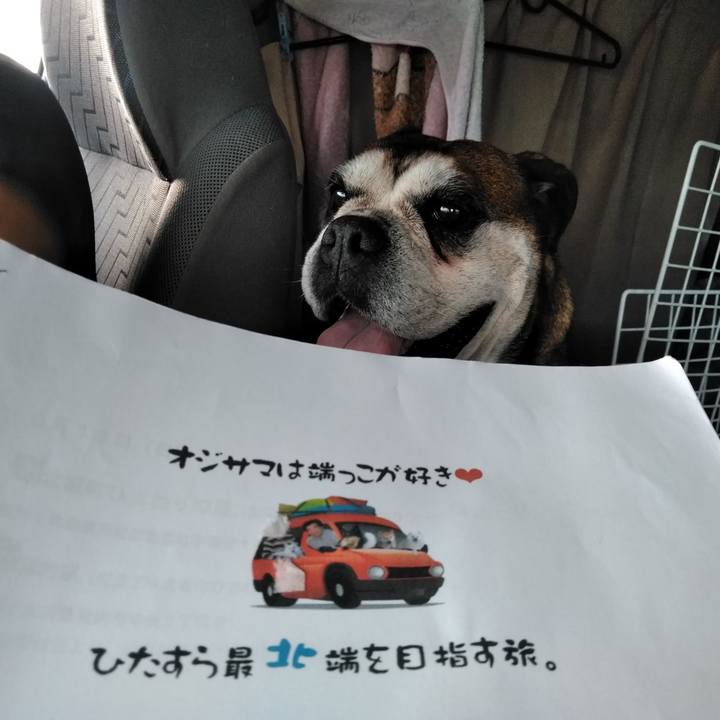 Fb90e652 56fd 4c4b 8293 c8f9c30e001d 1565388294101