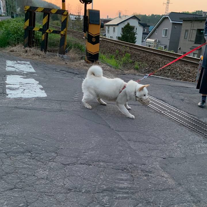 Fb9120eb 9b93 4c26 bde6 11ba6f31b16d 1557916964626