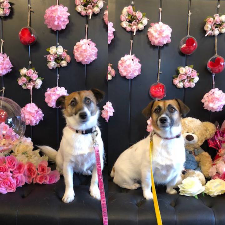 Fb9133c0 aecd 4e80 8510 329f309cdd2f 1556718122298