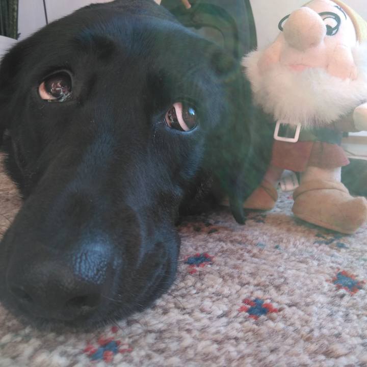 Fb913b24 d4c5 47e8 80a2 73af05ae7e97 1552172797081