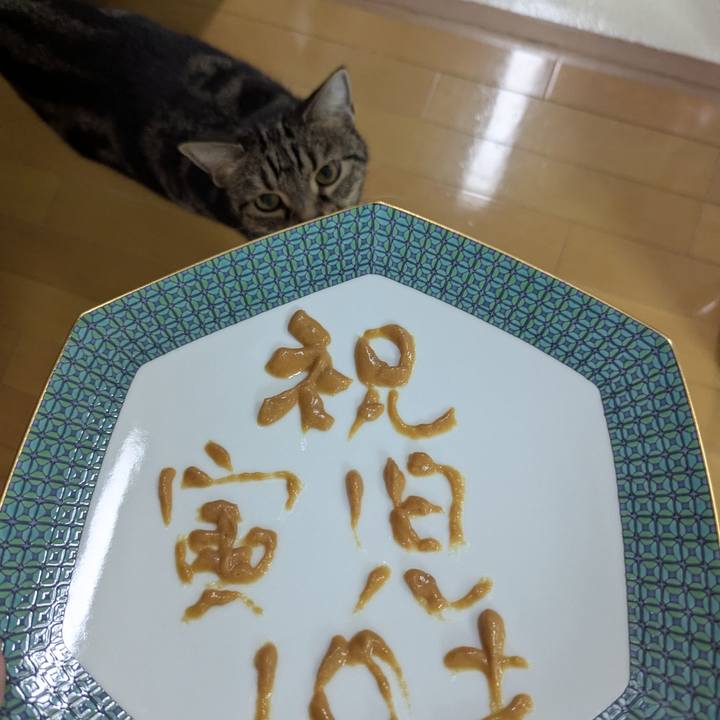 Fb914e02 a15e 47cd 9cd4 86d8e95fc92b 1740738634107