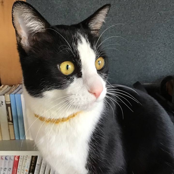 Fb917212 a701 44fa 9d44 a0eb6c8fc8b1 1647415357345