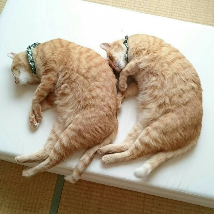 Fb91a3b4 e028 49d6 8abf 2e3c638b0c25 1563077972312