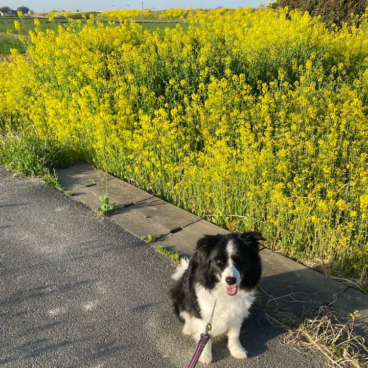 Fb91a842 792b 439d b666 419512d6d488 1647300523600