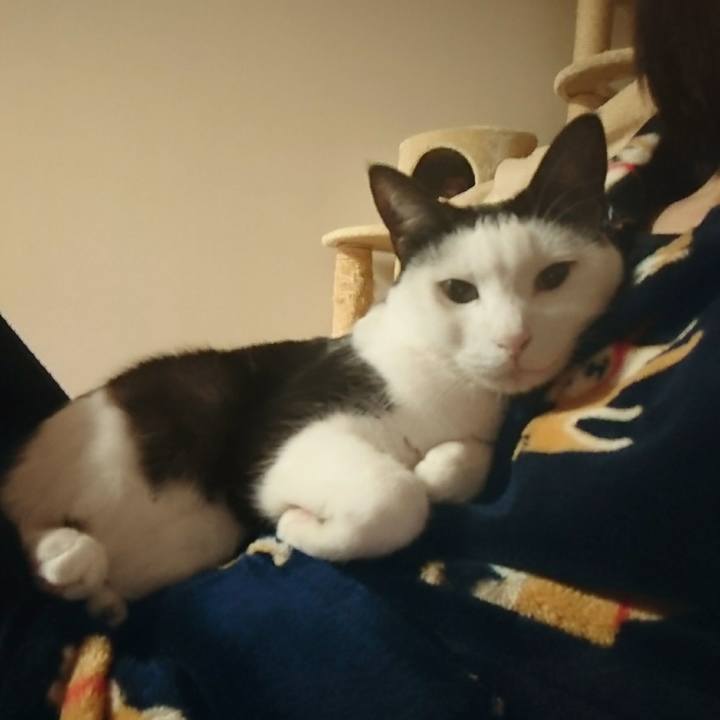 Fb91c743 0db2 424f 9e5d 98ed99f8a49e 1549983120483