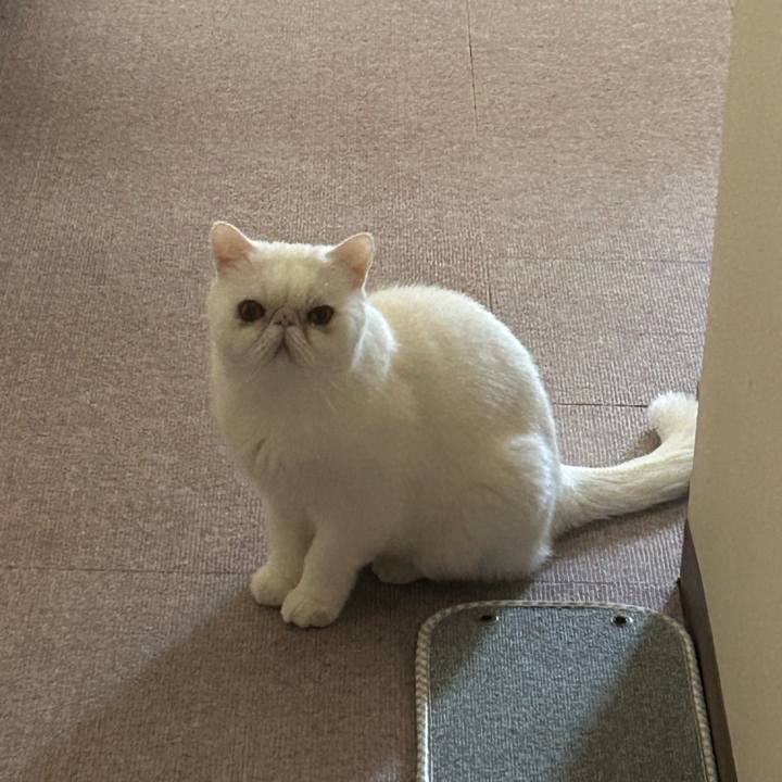 Fb91d754 40c3 4b3e 8bdc 64cc1f0b6f03 1731150940217