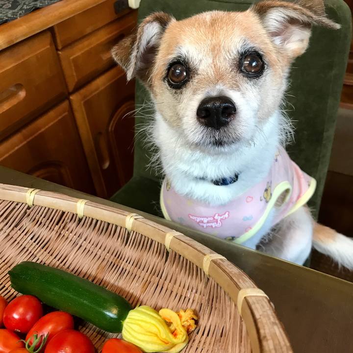 Fb91de9c 3b1c 45c1 a084 4a1881320d87 1626948906117