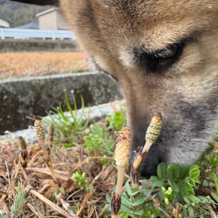 Fb921dd8 21e7 4d7c a140 e1c065944fee 1741868192971