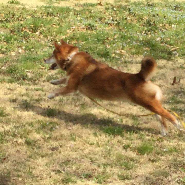 Fb922289 1879 463f a690 27bbb19c9d99 1553260658955