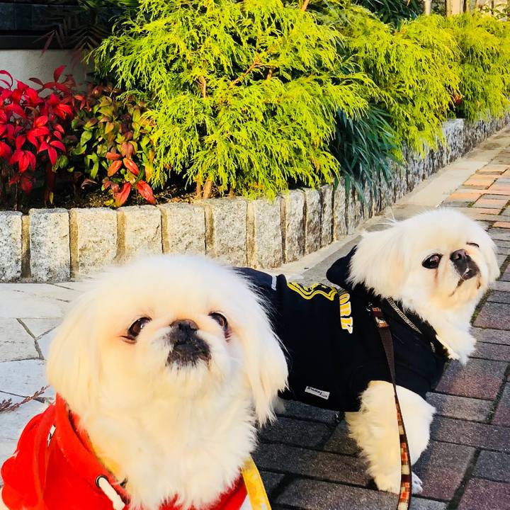 Fb928cb7 d485 4673 bc45 015b5a2b383f 1616023075131