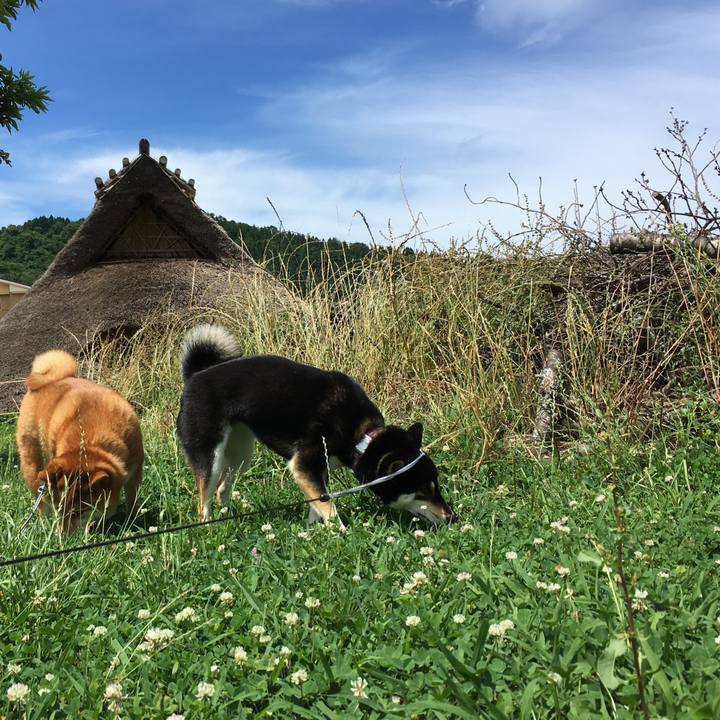 Fb92a8cf 0a60 4a9a 97a6 b81621021953 1530325617161