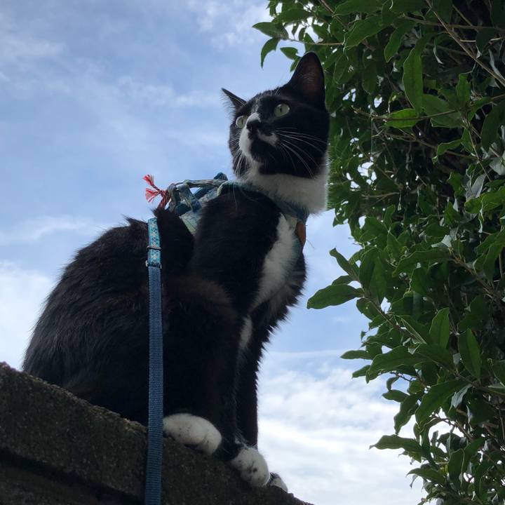 Fb92c3c2 8dd0 494e a671 681c848213b1 1531367386976