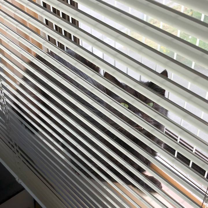 Fb92c602 455d 4dd2 9e1b 3f985b9ab7f7 1592089458722