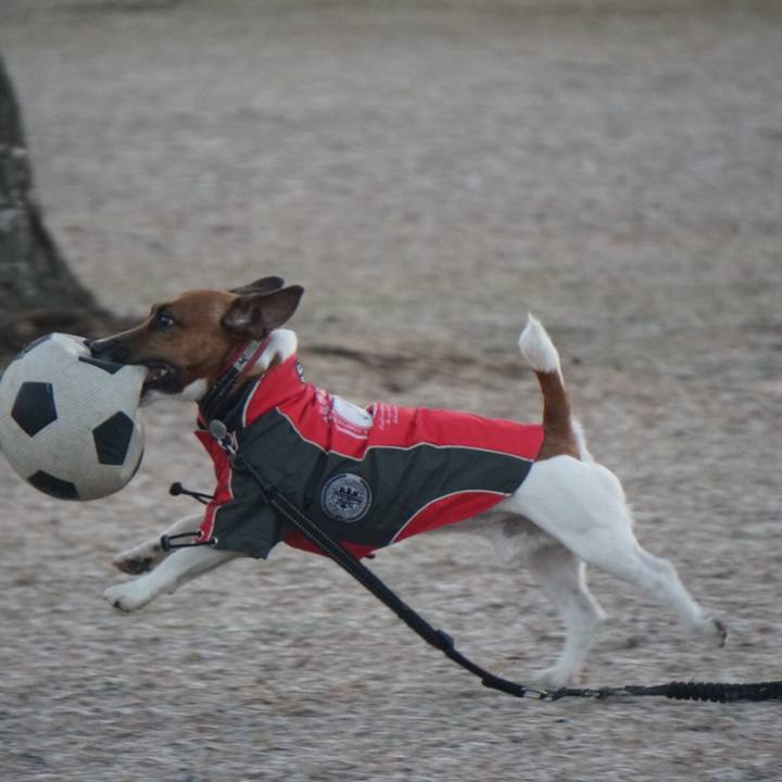 Fb92d017 c0cd 4a87 8d42 8ac6bcef8209 1515971390450