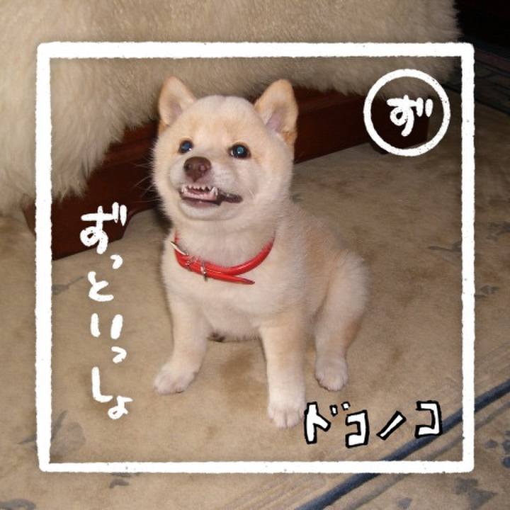 Fb92f6a3 ffd3 4e37 8129 d76000b525df 1685968849734