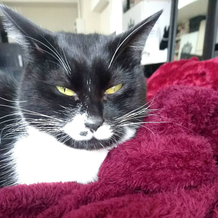 Fb932d7e 5daa 4f05 8601 4413409895b1 1508229621802