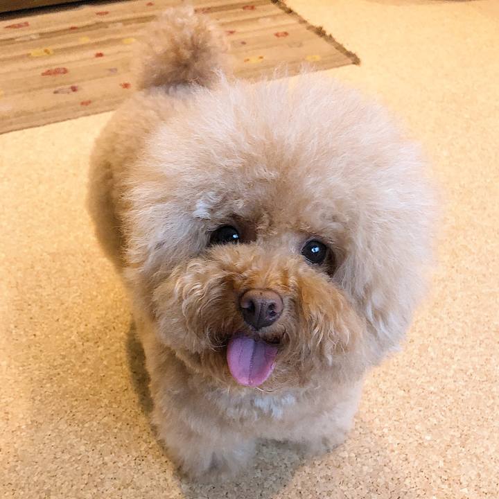 Fb933d77 5518 4efd 9b7c 5ad32b123265 1559901736398