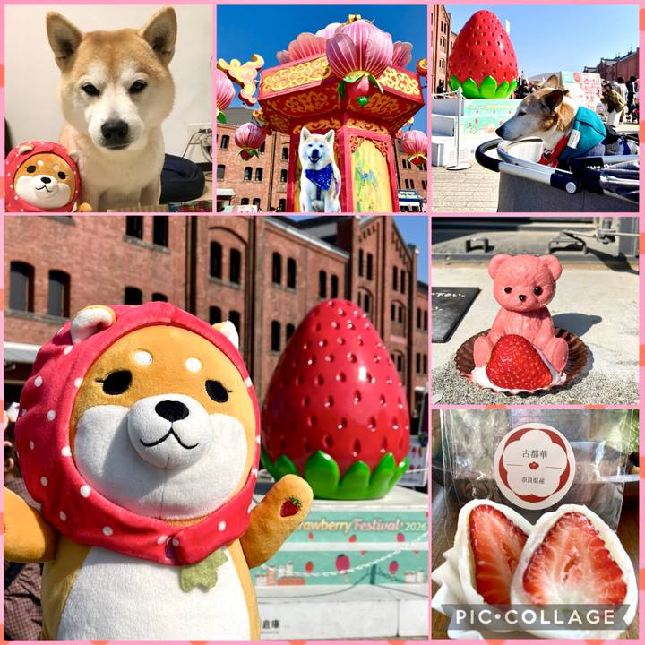 Fb933dc7 40c2 4a17 a070 73917a264f24 1771192814260