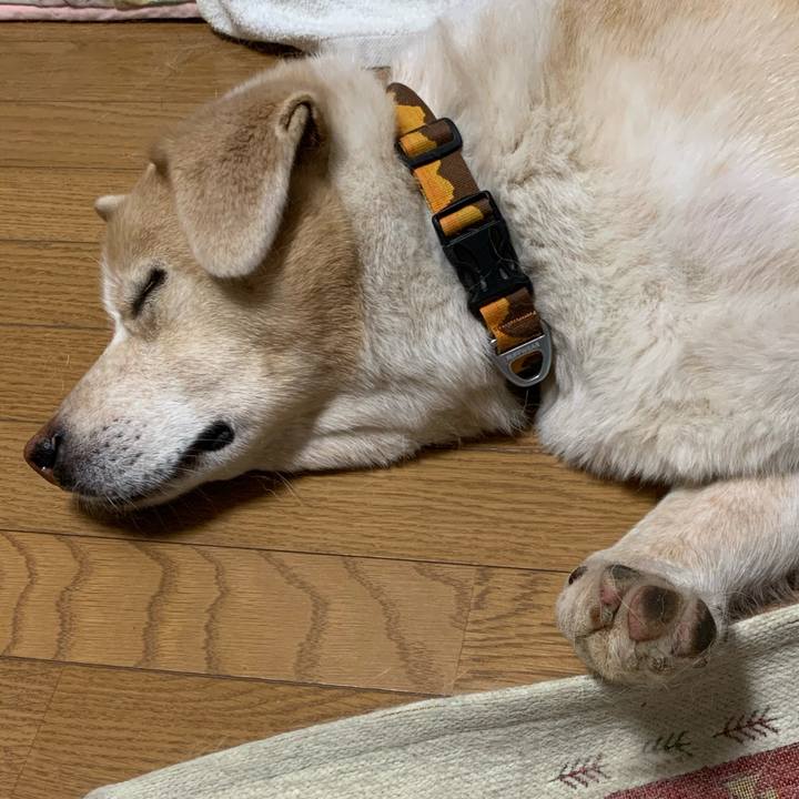 Fb93ab20 0a66 43e6 bec1 5e2474c3389e 1593094232504