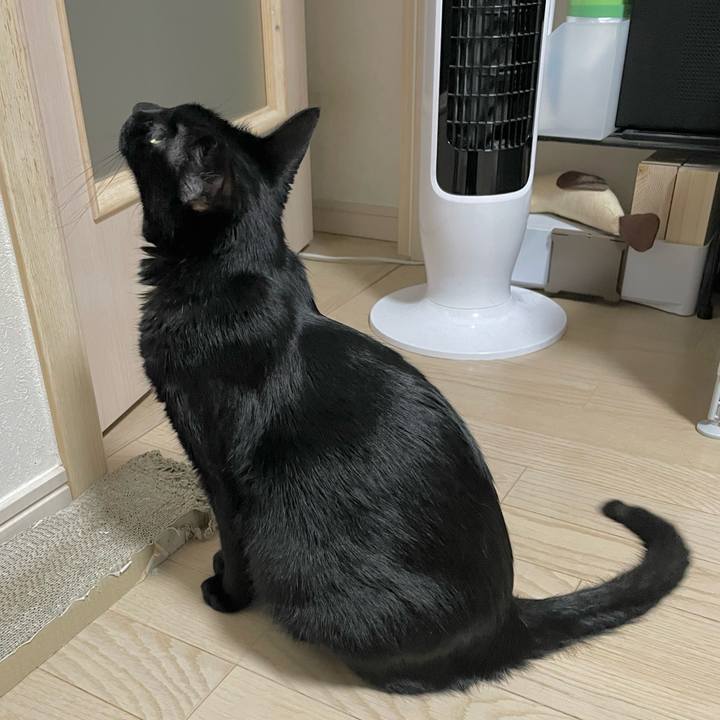 Fb93e60b 4cbb 4af9 9ed8 f2ecdb0f6ea1 1694435516469