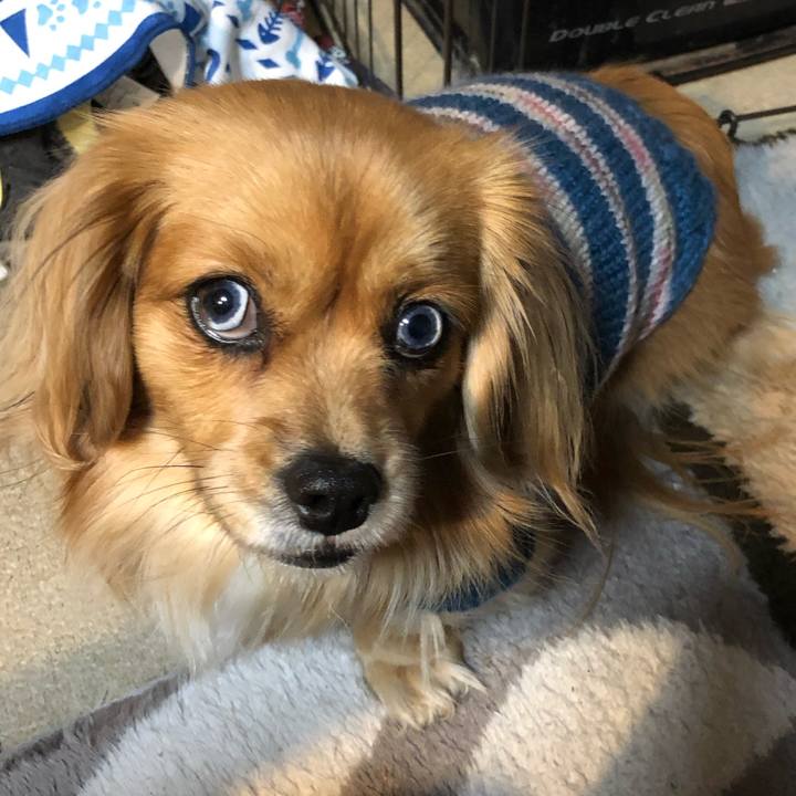 Fb943dda 677a 44b6 b4f5 87ddb5e5a7c0 1549674656936