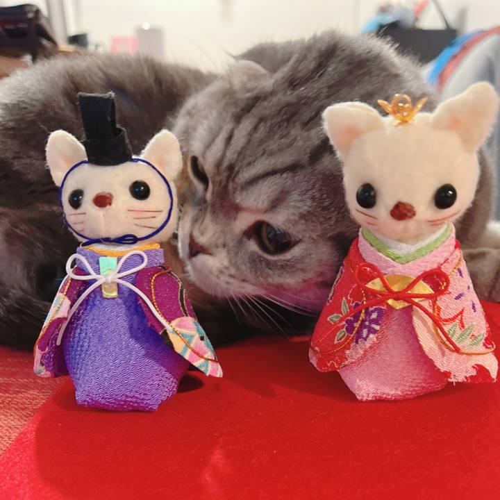 Fb94fc73 bcf8 40b8 b3ad d4791005c1b3 1646307319746