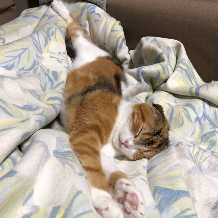 Fb952346 3fd7 4772 b35d fa54f6425996 1519729980018