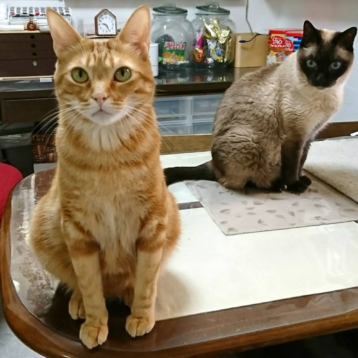 Fb9575e0 e880 4aa1 a738 31ffca1b3128 1557176179854