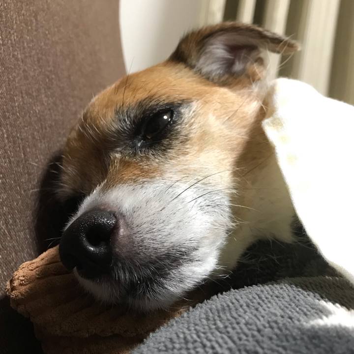 Fb95b273 2601 476d 8158 69b9d7737dd6 1542547458129