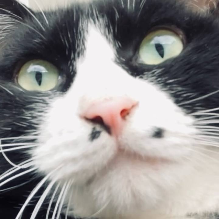 Fb95b747 eac3 4c82 9d13 b68d9891a3b5 1736733218526