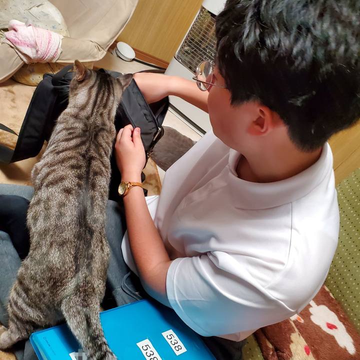 Fb95e70d 6dde 4195 952e 9a196c43cca3 1709820668650