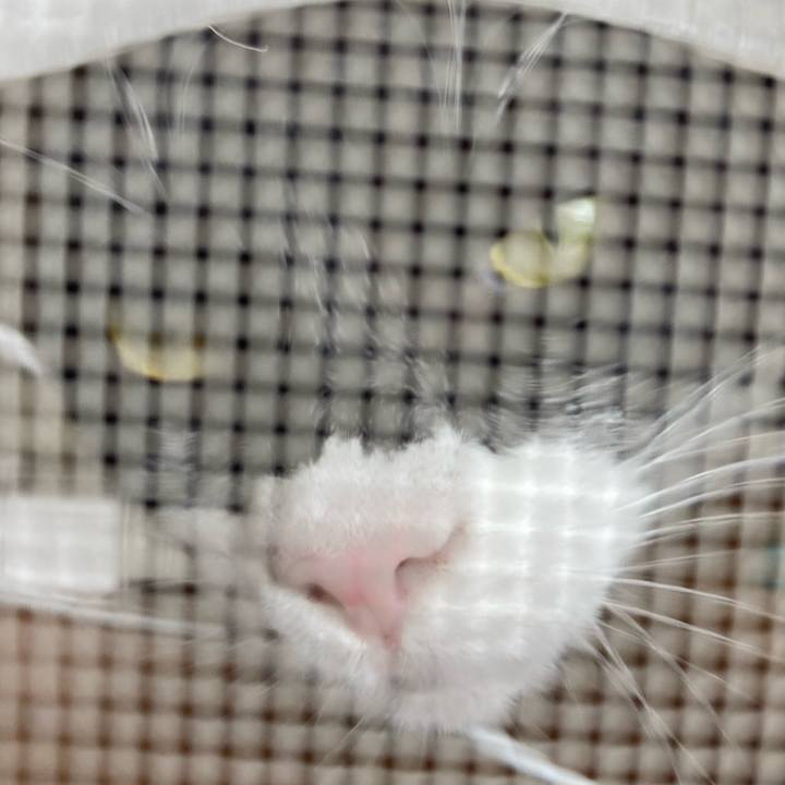 Fb9608e5 771e 411a a475 286d8484b71b 1619254255085