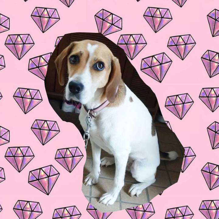 Fb96352b d32f 488a bf06 5b0ea496f706 1598623759529