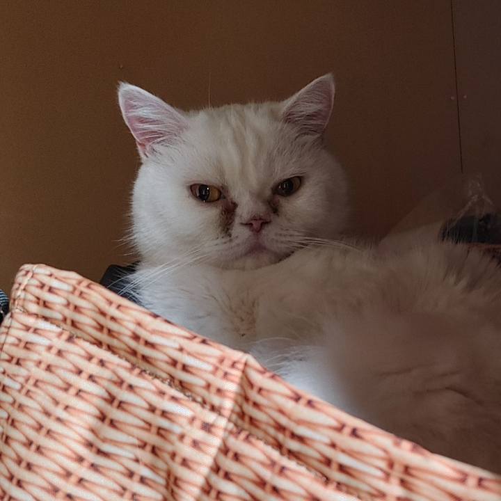 Fb963a21 2b4b 44b7 9681 fc2ce12109db 1697634214819