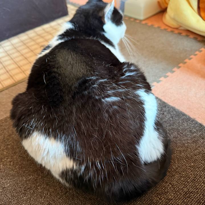 Fb963ba6 1b0c 467f 92f7 f8038171f21d 1736734786433