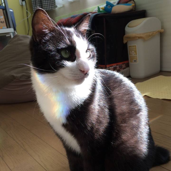 Fb964fac 797d 4655 a891 4f6d1501787f 1510885441357