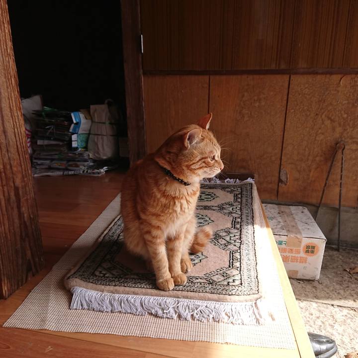 Fb965e2a 10bf 4055 83cb 80a3b94baf3e 1646619738724