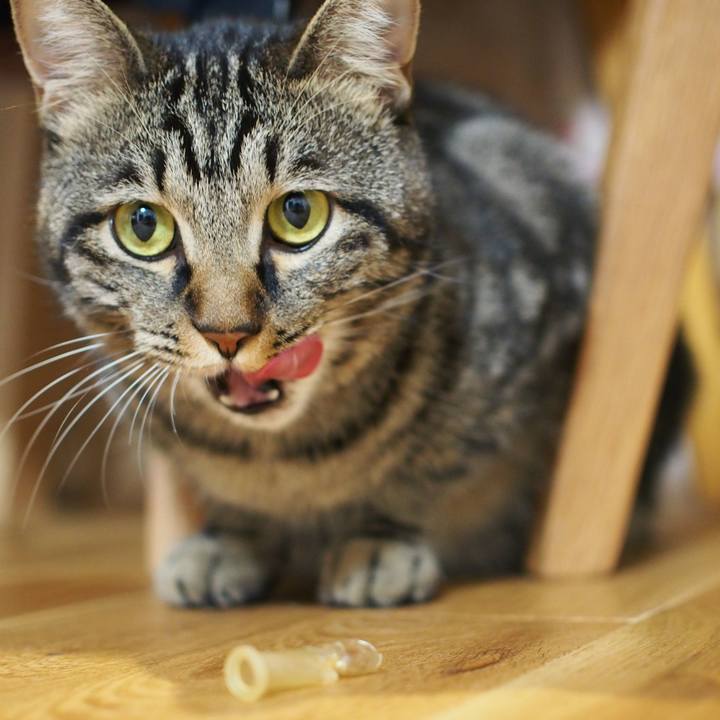 Fb968abf 5cce 4b94 b4c6 236076061908 1542628674877