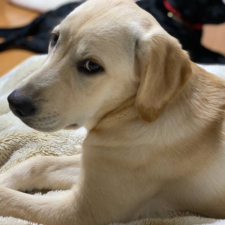 Fb96a006 b113 4874 a765 5369916d7c80 1619266996174