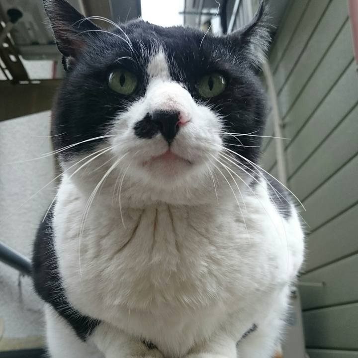 Fb96c60b 62b8 4136 8f4b 78bceb64dc66 1521417418191