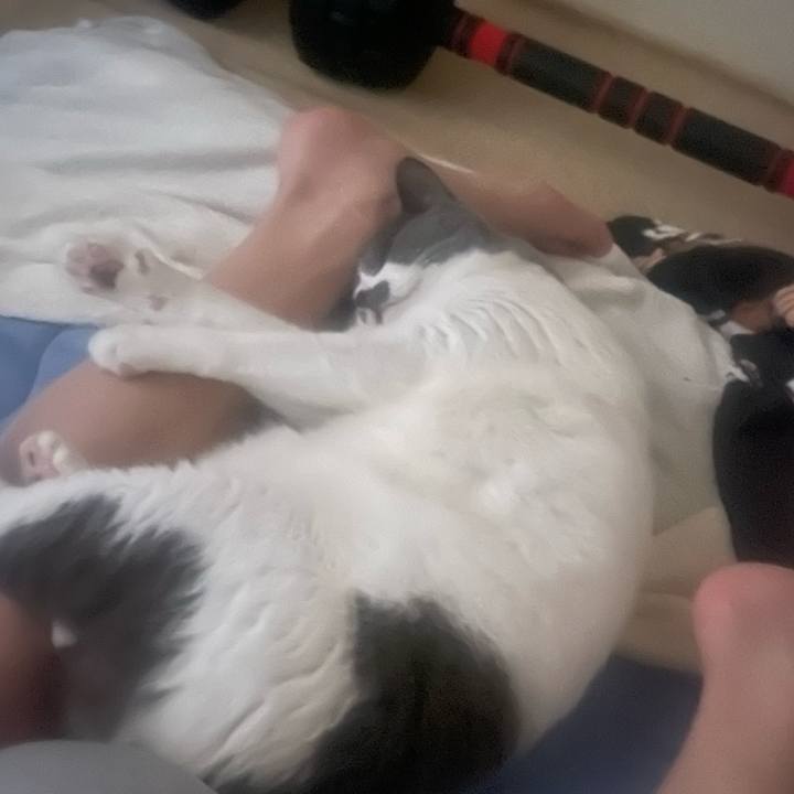 Fb96c63e 029c 4422 ad05 bf9e9c69b579 1754426883106