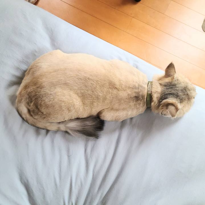 Fb96dc50 a6e6 4361 90cb a7edf7ff582d 1719822464436